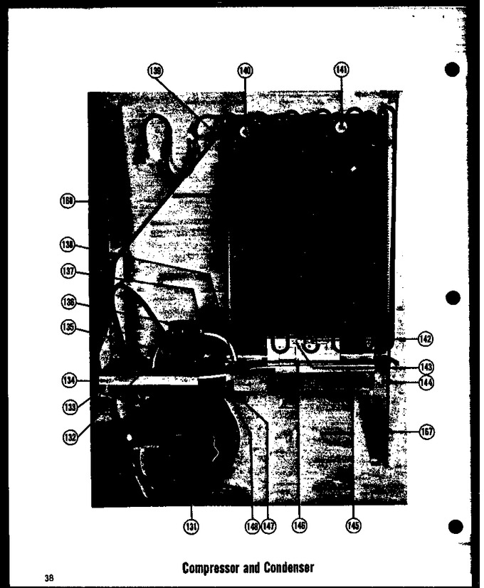 Diagram for S19E