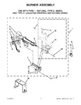 Diagram for 06 - Burner Assembly